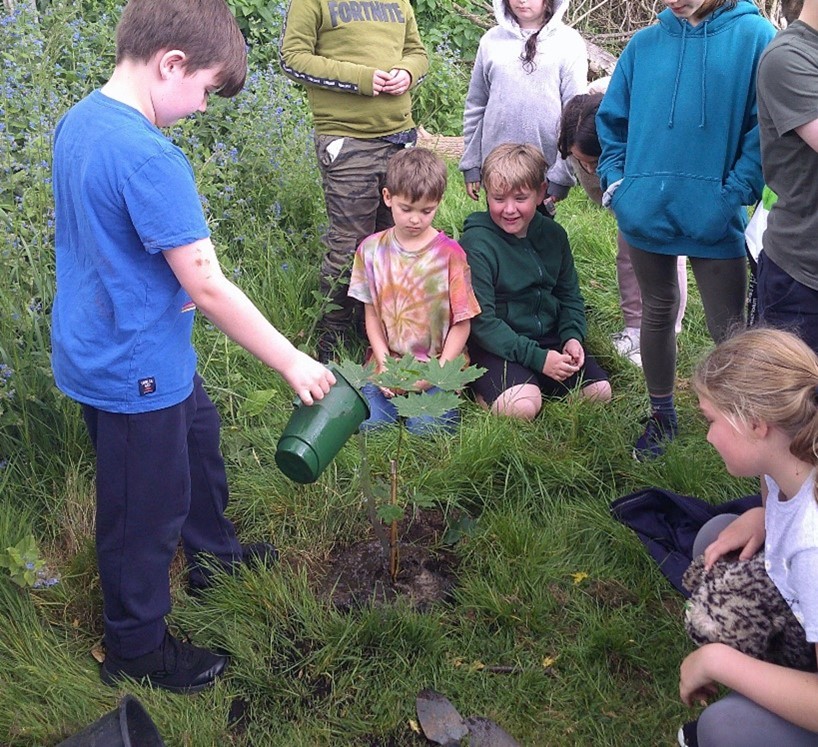 200 Trees Planted in School Campaign