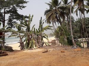 Bureh beach