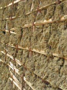Wattle and daub wall