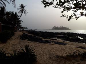 Coast - 20200216 180431