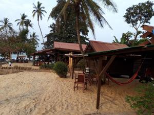 Coast - 20200216 181722