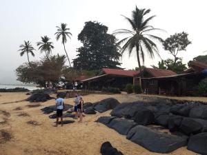 Coast - 20200218 074117