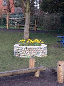 Planter at All Saints in Spring 2020