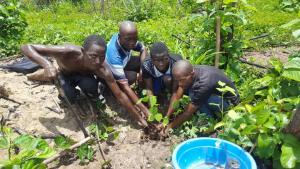 Bo Schools Tree Planting 2022