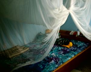 Bed with mosquito net