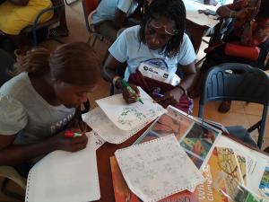 Teacher workshops - Learning about story mapping