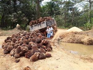 A bridge has collapsed - lorry carrying palm oil nuts needs recovery!
