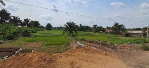 Paddy-fields 04